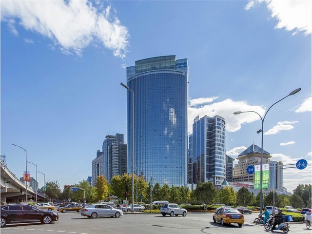 煲汤用石金钱龟制作方法